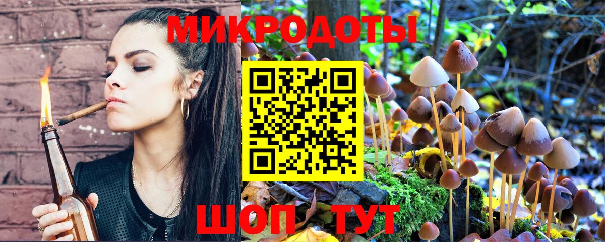 Ставрополь  Псилоцибиновые грибы GOLDEN TEACHER  Вход с VPN 