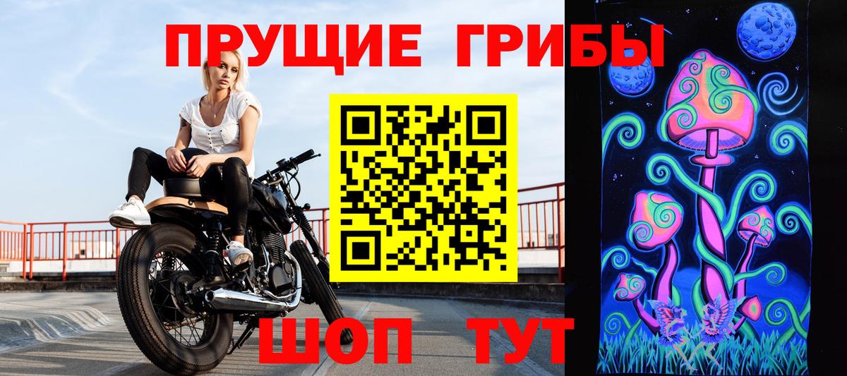 Псилоцибиновые грибы GOLDEN TEACHER Ставрополь